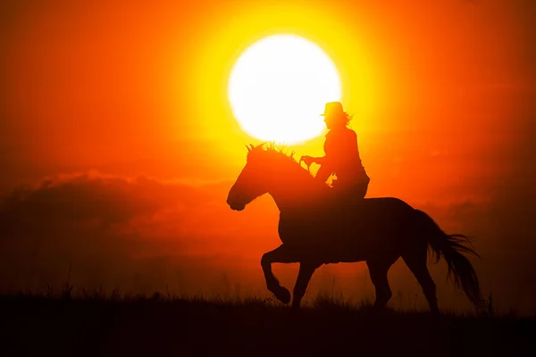 Silhouette Una Donna Cavallo — Foto Stock