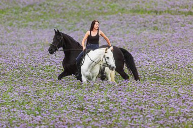 Mor çiçeklerle dolu bir tarlada siyah bir frizle beyaz bir atın üstünde güzel bir kadın.