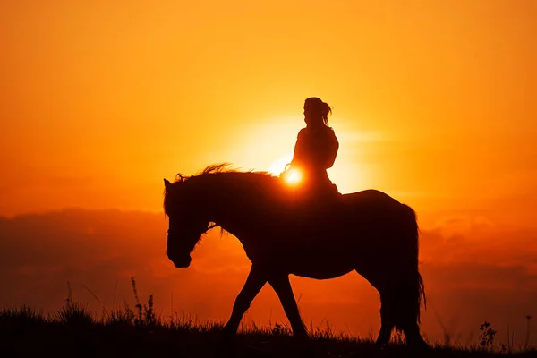 带着夕阳骑着马的女人的轮廓 — 图库照片
