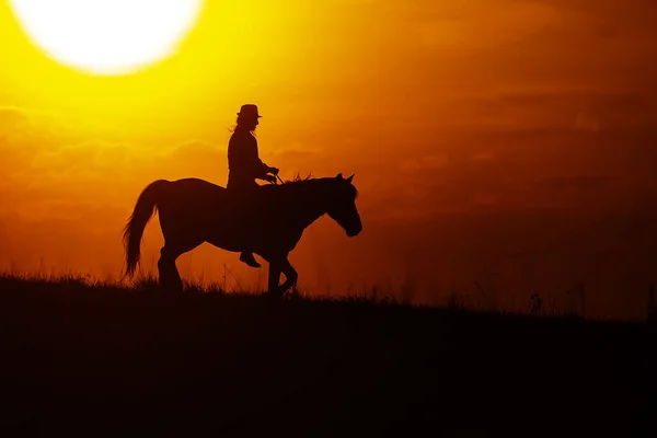Силуэт Женщины Верхом Лошади — стоковое фото