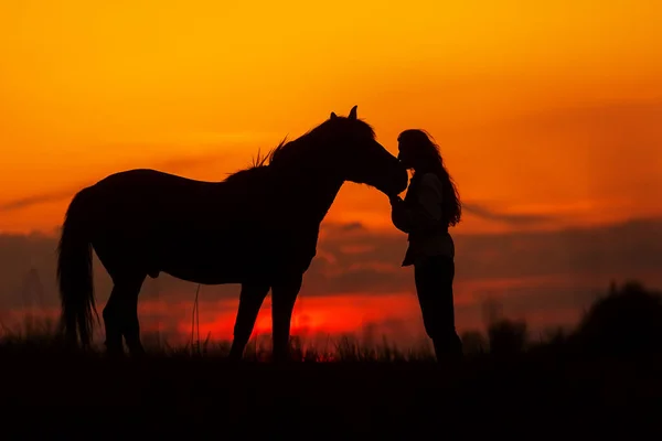 夕暮れ時に頭に馬にキスをする女性がいて — ストック写真