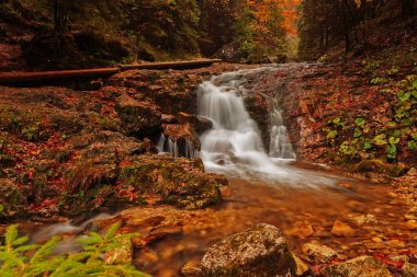 Slovak Mal Fatra Dağları 'nın sonbahar renkli manzarasında