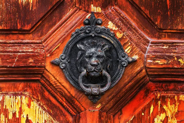 Porta Decorata Con Ferramenta Con Bussola Metallo Forma Leone — Foto Stock