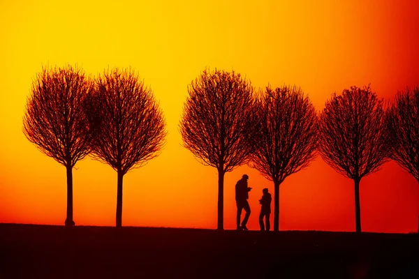 Silhouette Einer Figur Mit Kinderwagen Die Die Straße Entlangläuft Einem — Stockfoto