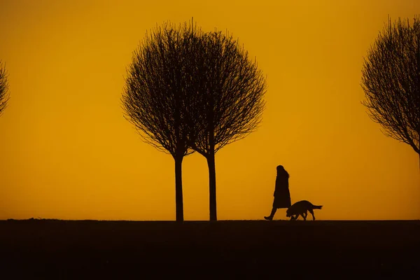 Silhouette Une Silhouette Avec Une Poussette Marchant Long Route Chien — Photo