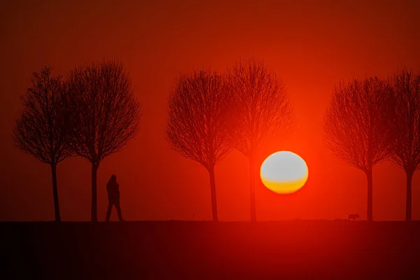 Figures Road Sunset Only Silhouettes Visible — Photo