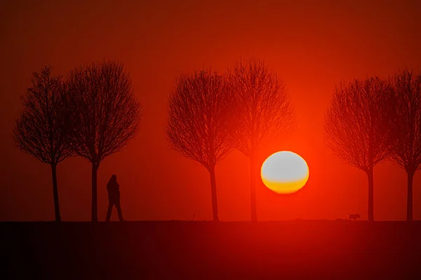 Figuras Estão Estrada Por Sol Apenas Silhuetas São Visíveis — Fotografia de Stock