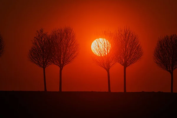 Die Figuren Sind Sonnenuntergang Unterwegs Nur Silhouetten Sind Sehen — Stockfoto