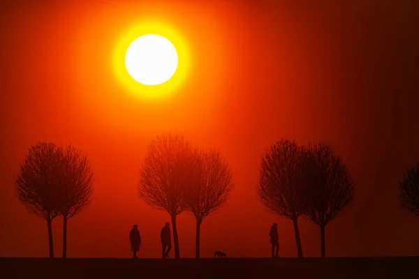 Figures Road Sunset Only Silhouettes Visible — Stock Photo, Image