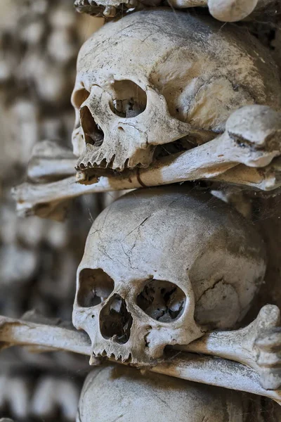 Emberi Koponyák Ossuary — Stock Fotó