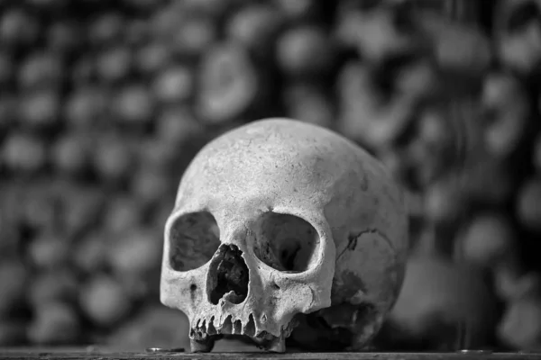 Mänskliga Skallar Ossuary — Stockfoto