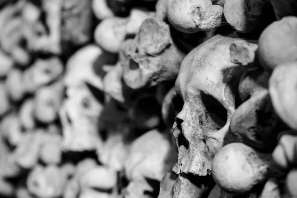 Emberi Koponyák Ossuary — Stock Fotó