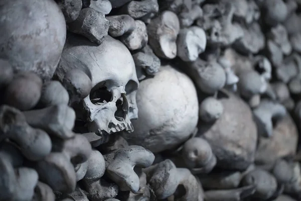 Emberi Koponyák Ossuary — Stock Fotó