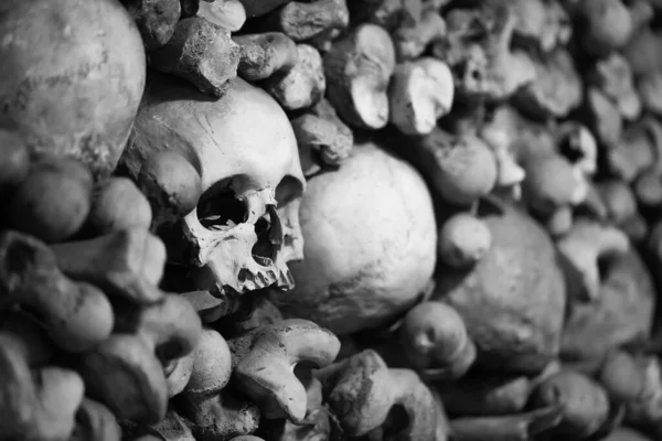 Emberi Koponyák Ossuary — Stock Fotó