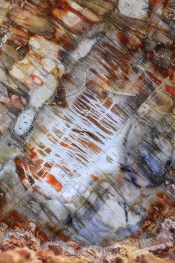 Metnin için alanı olan soyut arkaplan