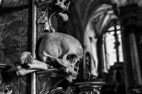 Kemik Dokusunda Insan Kafatasları — Stok fotoğraf