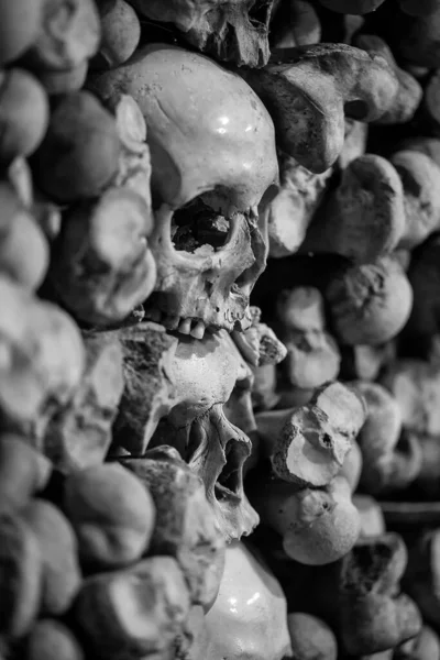 Emberi Koponyák Ossuary — Stock Fotó