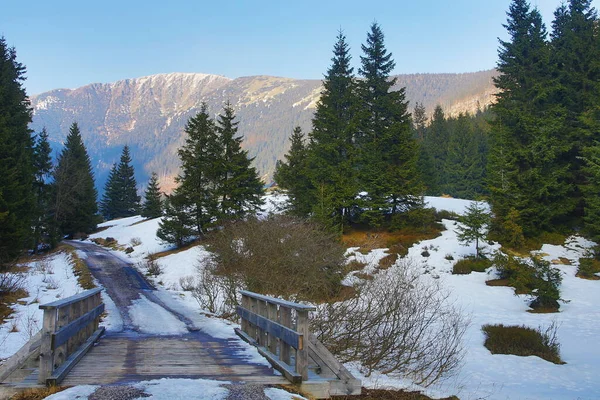 Giant Mine Giant Mountains Czech Republic — Stockfoto