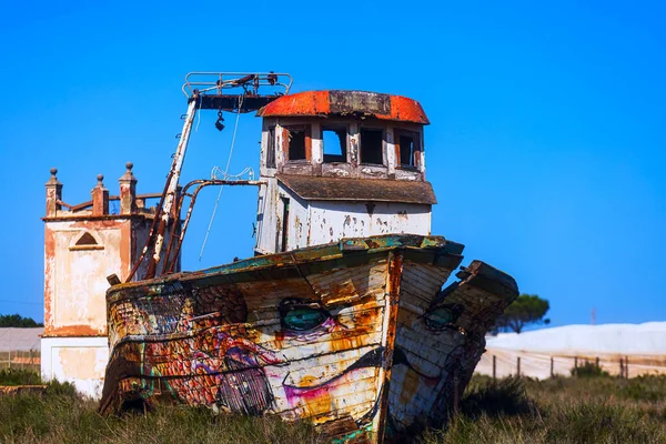 Vrak Fiskebåt Land Täckt Med Gräs — Stockfoto