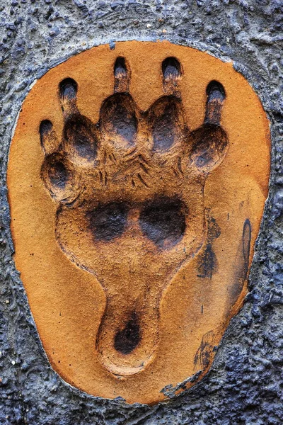 bear paw print back