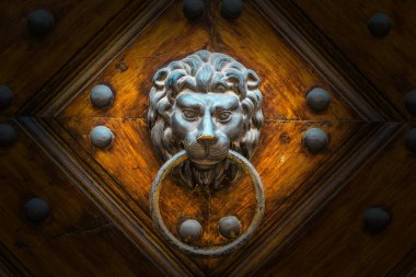 metal knocker on the antic door