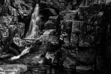 Ormanda güzel bir şelale, doğa