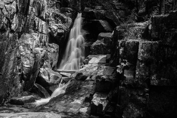 Belle Cascade Dans Forêt Nature — Photo