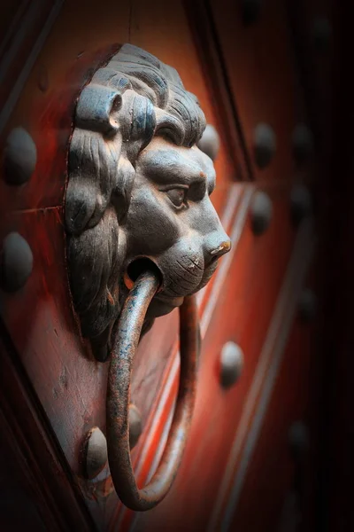 Metallklopfer Der Eingangstür — Stockfoto