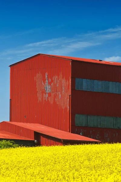 Red Metal Barn Yellow Field — Stockfoto