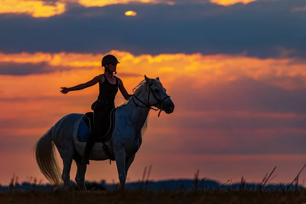 Silhueta Uma Mulher Montando Cavalo Pôr Sol Céu Lindamente Colorido — Fotografia de Stock