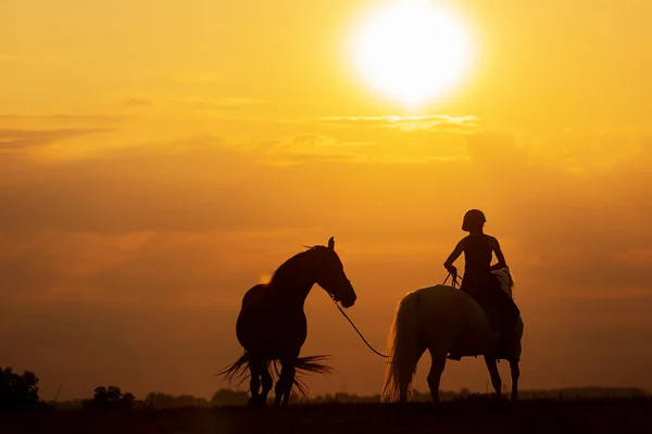 Силуэт Женщины Верхом Лошади Другая Веревке — стоковое фото