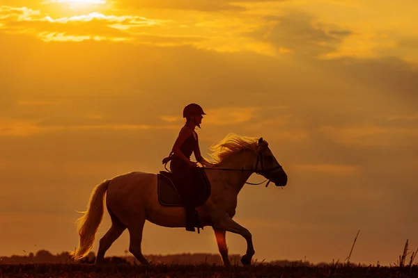 Silhueta Uma Mulher Montando Cavalo Com Grande Sol Sobrecarga — Fotografia de Stock