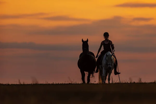 She Rides Her Horse Sunset Leads Another Horse Rope — ストック写真