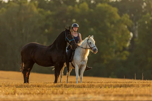 Beautiful Rider White Stallion Stands Field Black Friesian Mare — 스톡 사진