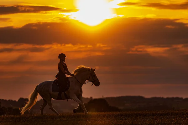 Piękny Jeździec Białym Ogierze Galopuje Przeciwko Pomarańczowemu Niebu — Zdjęcie stockowe