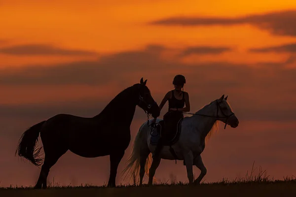 Jeździec Innym Czarnym Koniem Jest Zabarwiony Pomarańczowym Zachodem Słońca — Zdjęcie stockowe