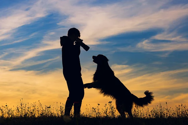 boy and hovie, two friends, silhouette of photographer and a dog at sunset