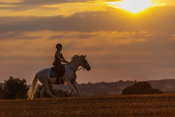 Silhouette Woman Riding Horse Sunset — Stockfoto