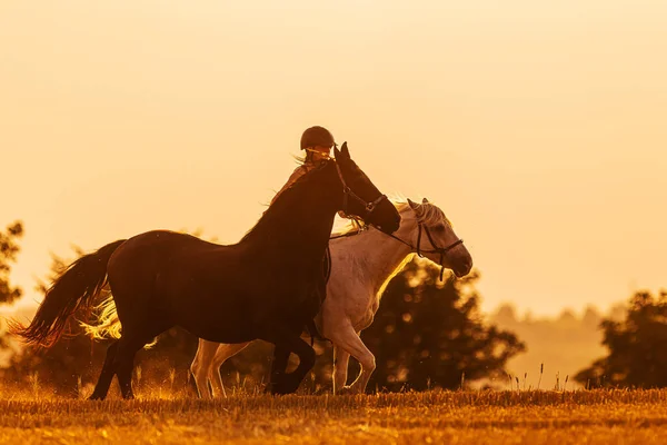 Силуэт Женщины Верхом Лошади Другая Веревке — стоковое фото