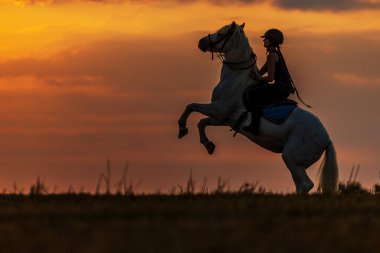 Genç binici beyaz atı arka ayaklarının üstüne koyar.
