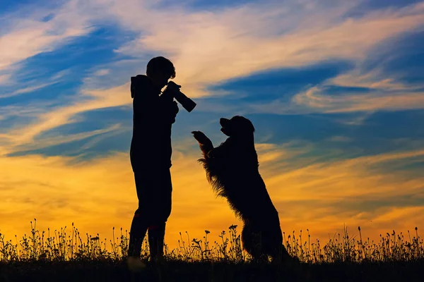Boy Hovie Two Friends Both Silhouettes Sunset — Foto Stock