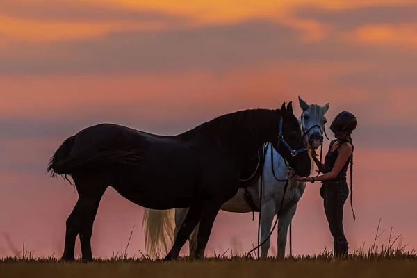 Woman Two Black White Horses Cuddles Both — Stockfoto