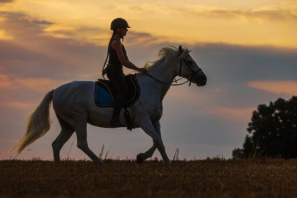 Young Woman Rides White Horse Sunset — 스톡 사진