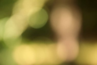 Bokeh ışıkları ile soyut arkaplan