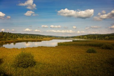 Nehirli güzel bir manzara 