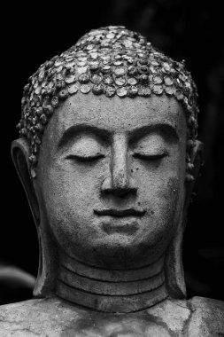 Tapınakta Buda heykeli 