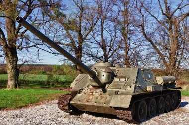 Old tank in green meadow