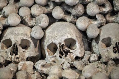 Kemik dokusunda insan kafatasları