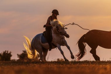 a beautiful woman on a white horse
