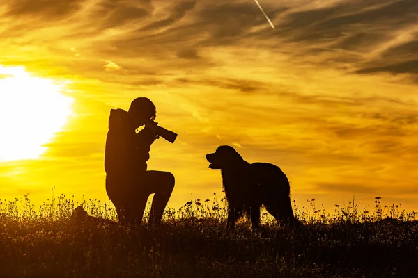 boy and hovie, two friends, in the strong counter-light of sunset